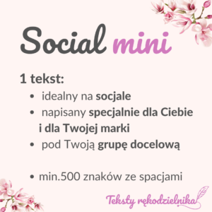 Pakiet Social Mini- 1 tekst do mediów społecznościowych